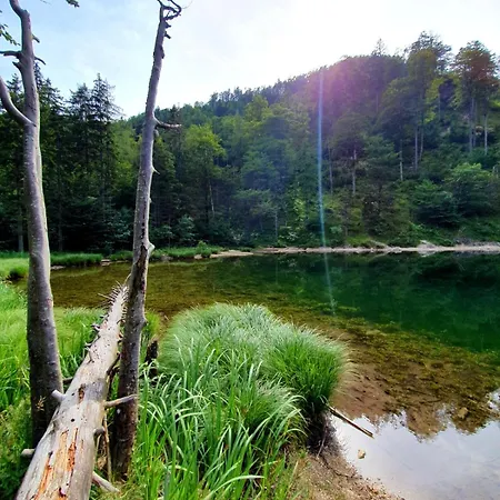 Haus Fuesslmuehle * Fuschl am See
