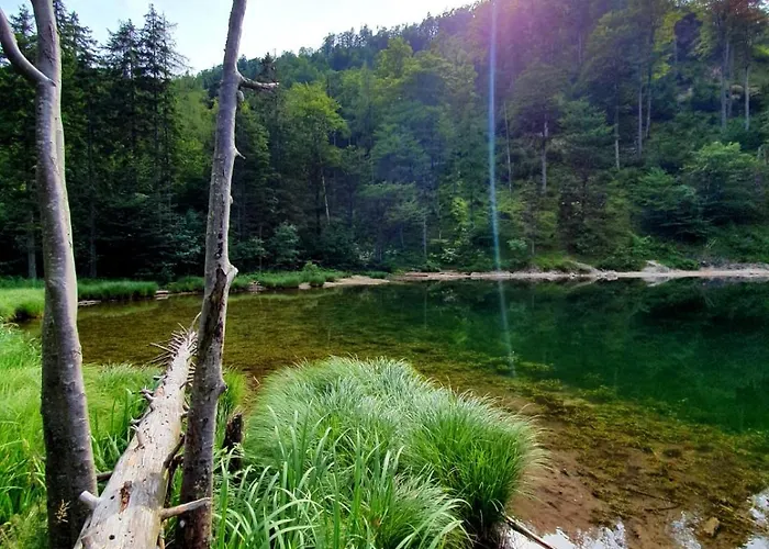 Haus Fuesslmuehle * Fuschl am See